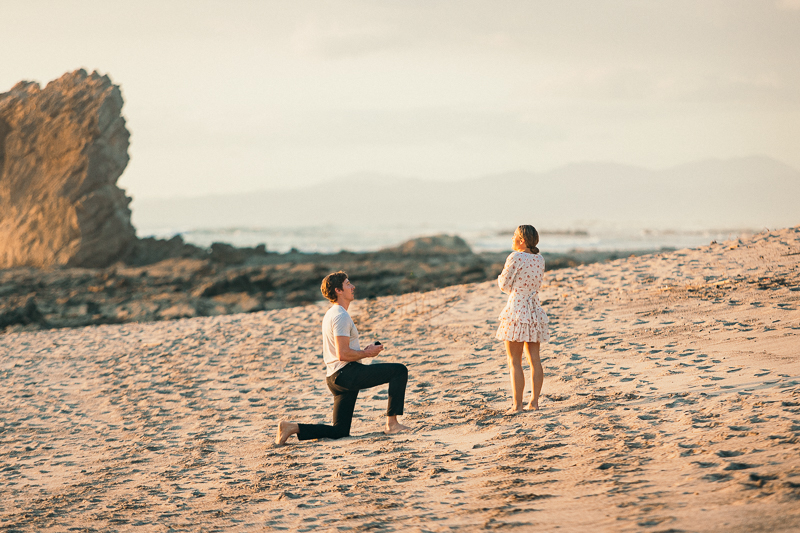 Santa teresa proposal