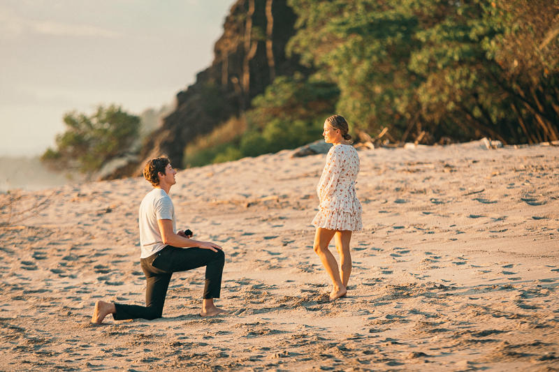 Santa teresa proposal