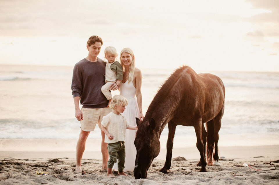 family beach photo wild horse