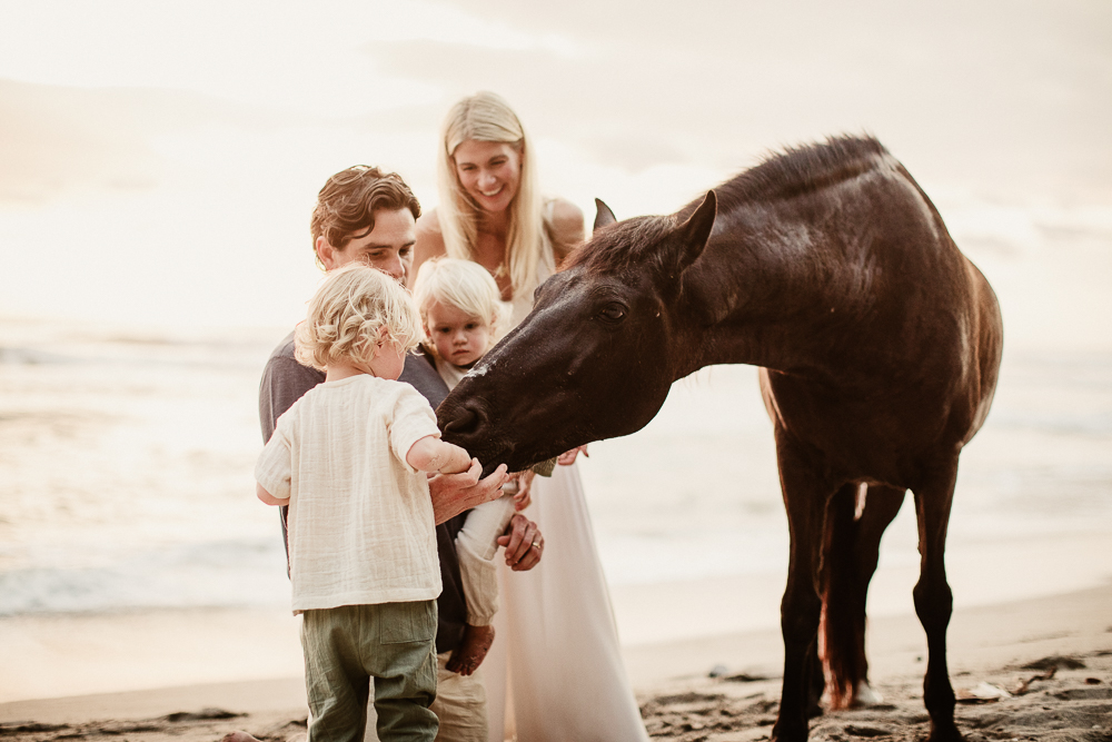 family photos with a horse