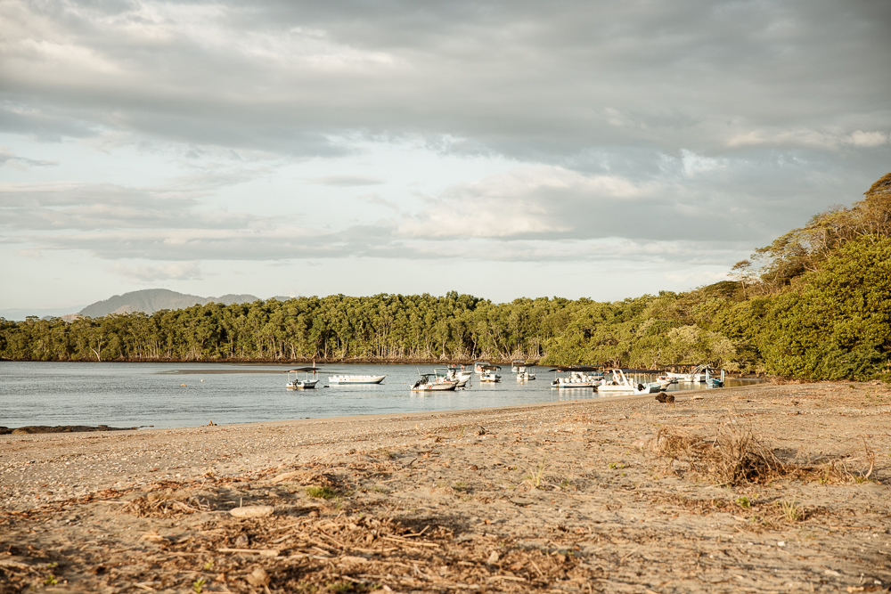 pangas tamarindo